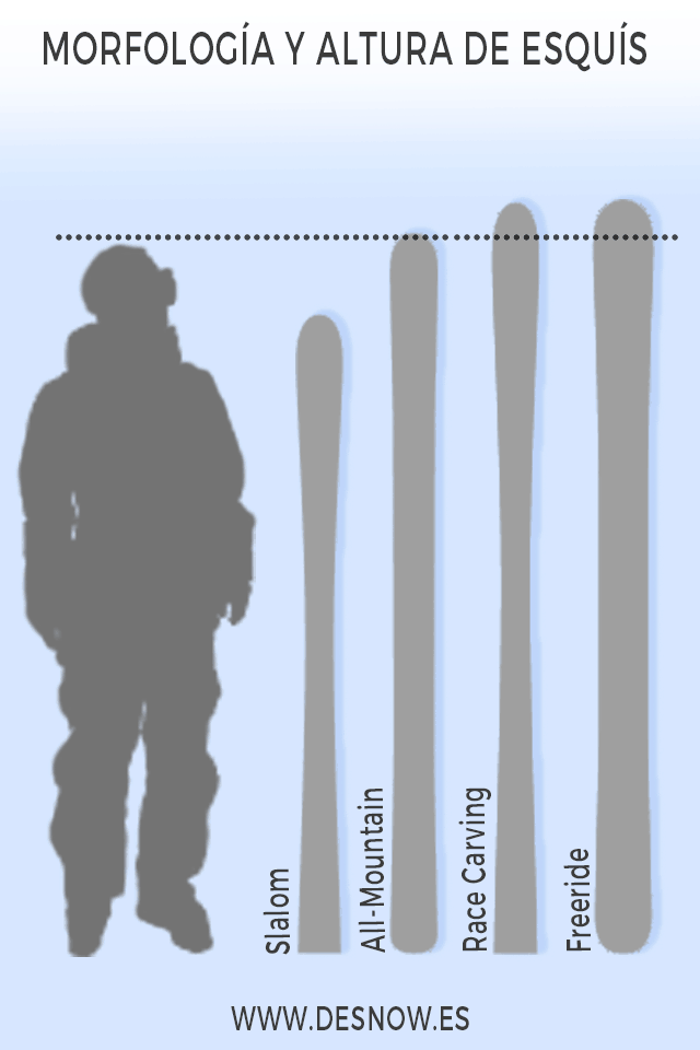 Forma y altura esquís